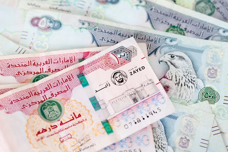 Billets de dirham émirati représentant l’économie et la fiscalité aux Émirats arabes unis
