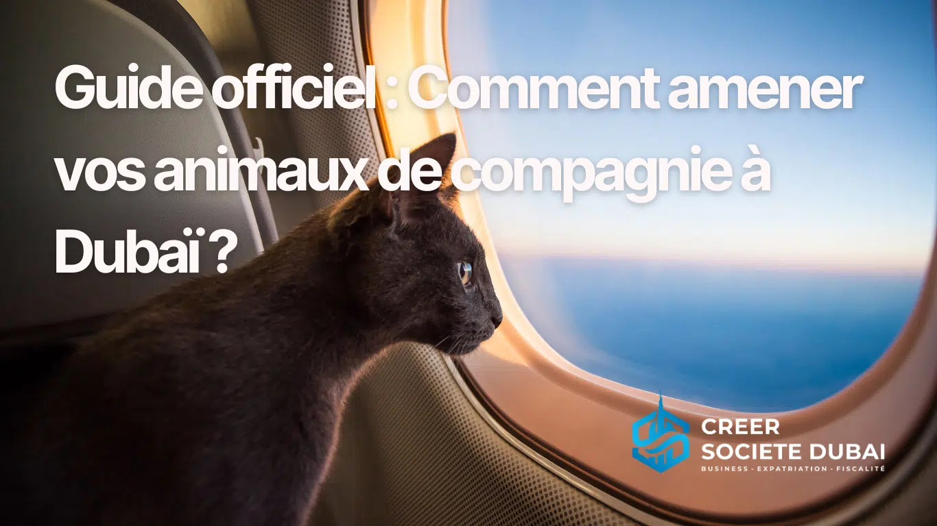 Guide officiel : Comment amener vos animaux de compagnie à Dubaï ?