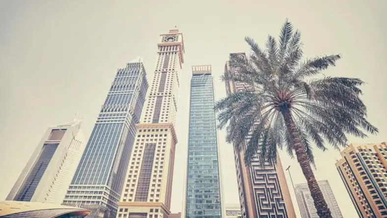 Palmiers de Dubaï – paradis fiscal – documents pour visa Dubaï
