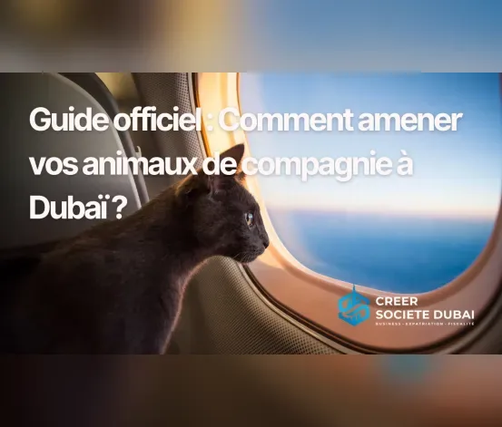 Guide officiel : Comment amener vos animaux de compagnie à Dubaï ?