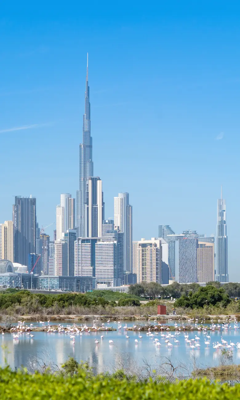 Dubaï skyline